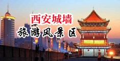 景鑫和女人裸体操逼很黄的黄色录相中国陕西-西安城墙旅游风景区