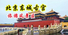 鸡巴干贵妇视频中国北京-东城古宫旅游风景区